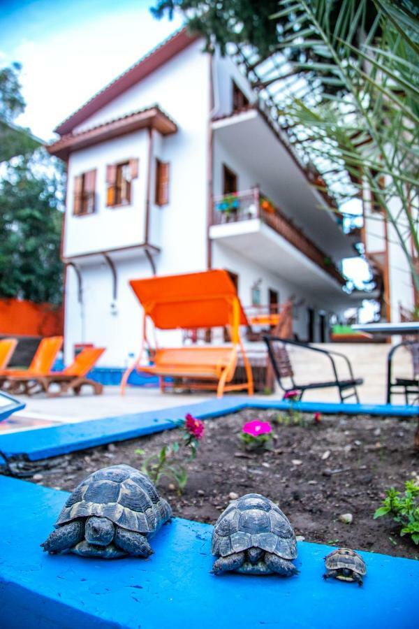 Kaliptus Hotel Kemer Luaran gambar