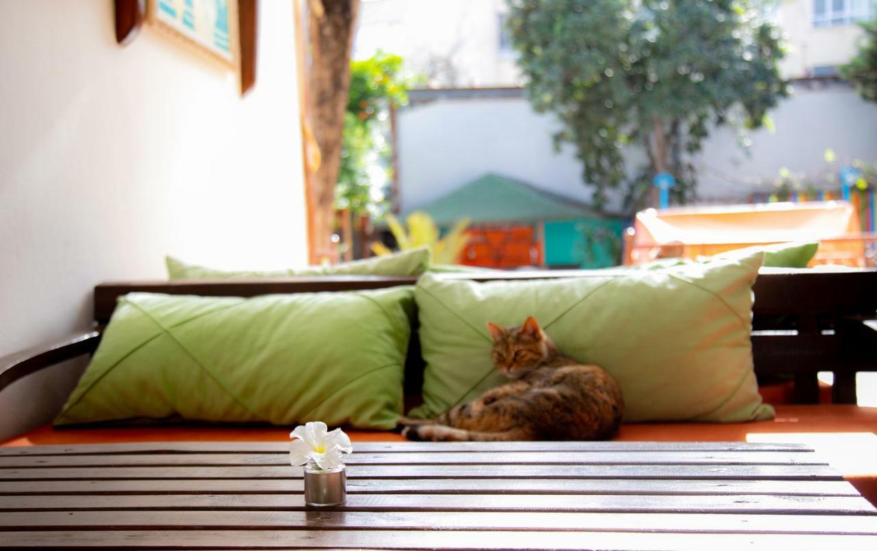 Kaliptus Hotel Kemer Luaran gambar